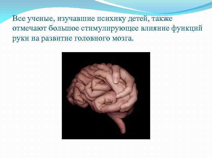 Все ученые, изучавшие психику детей, также отмечают большое стимулирующее влияние функций руки на развитие
