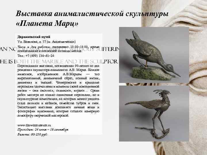 Выставка анималистической скульптуры «Планета Марц» Дарвиновский музей Ул. Вавилова, д. 57 (м. Академическая) Часы