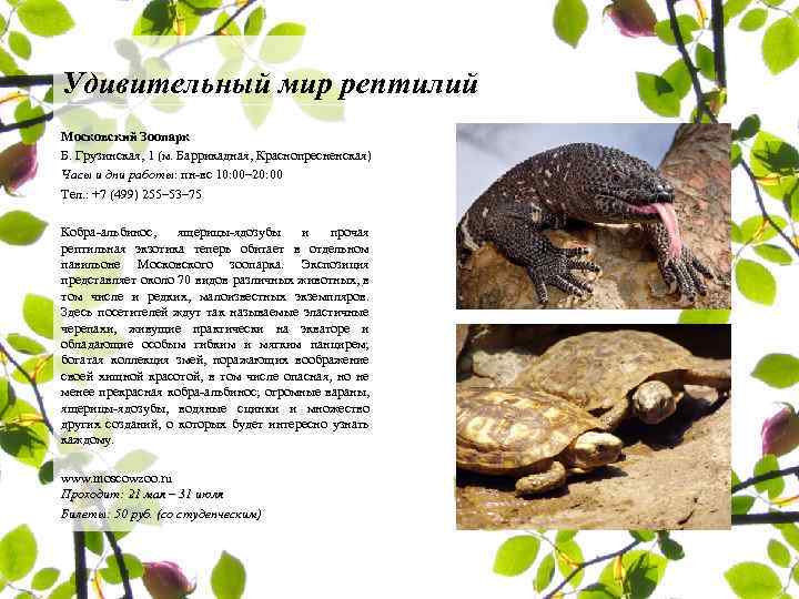 Удивительный мир рептилий Московский Зоопарк Б. Грузинская, 1 (м. Баррикадная, Краснопресненская) Часы и дни