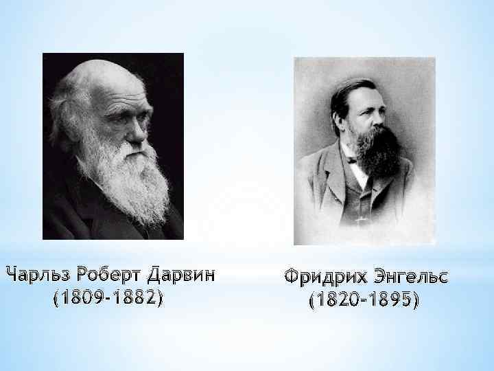 Чарльз Роберт Дарвин (1809 -1882) Фридрих Энгельс (1820 -1895) 