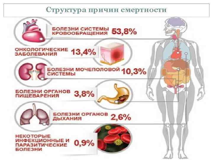 Структура причин смертности 