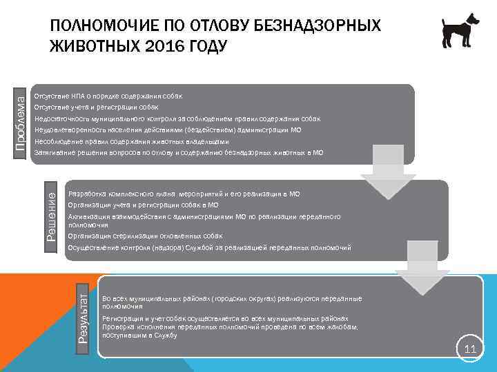 Отсутствие НПА о порядке содержания собак Отсутствие учета и регистрации собак Недостаточность муниципального контроля