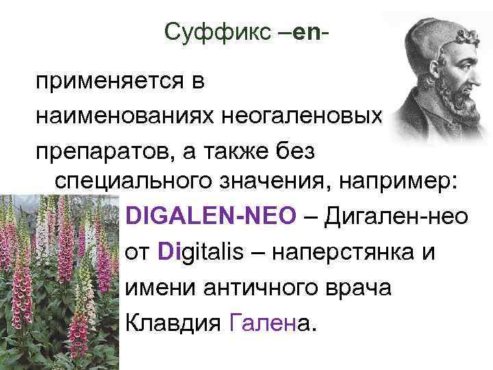 Суффикс –enприменяется в наименованиях неогаленовых препаратов, а также без специального значения, например: DIGALEN-NEO –
