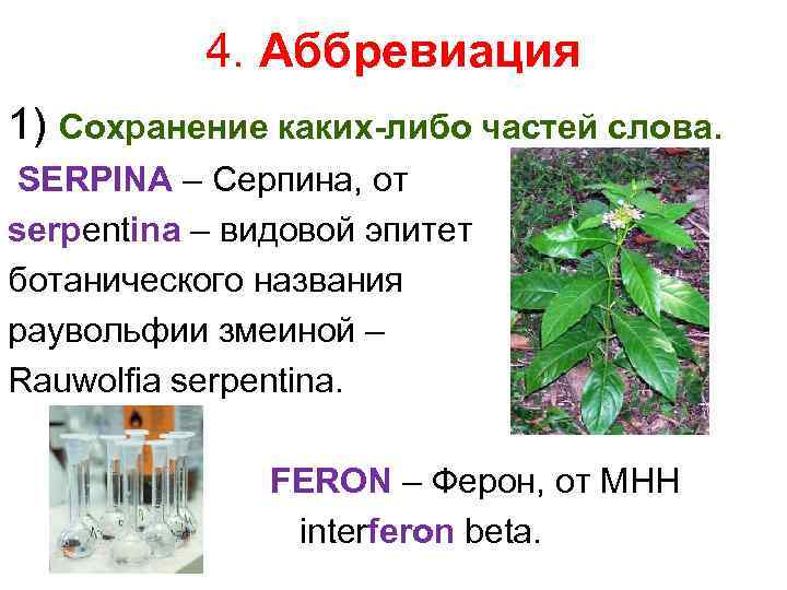 4. Аббревиация 1) Сохранение каких-либо частей слова. SERPINA – Серпина, от serpentina – видовой