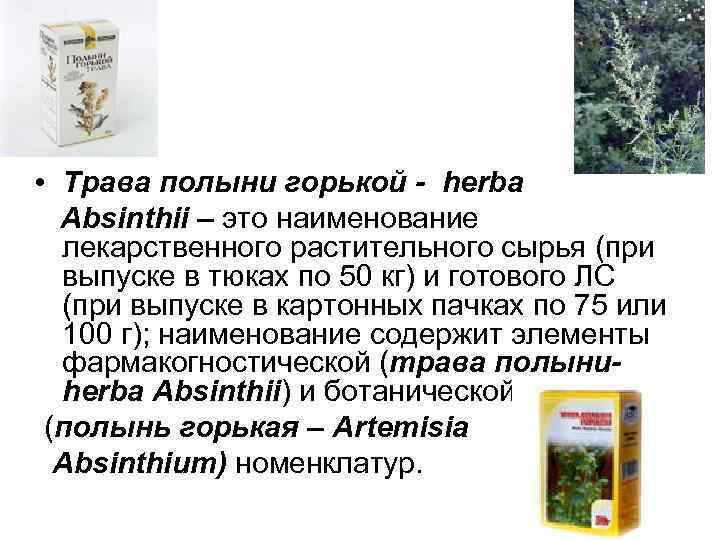  • Трава полыни горькой - herba Absinthii – это наименование лекарственного растительного сырья