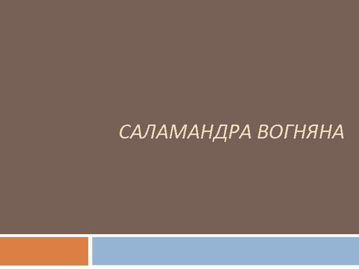 САЛАМАНДРА ВОГНЯНА 