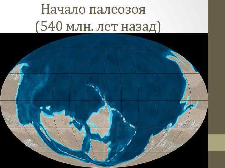 Начало палеозоя (540 млн. лет назад) 