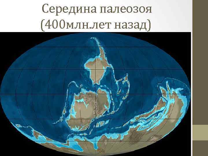 Середина палеозоя (400 млн. лет назад) 