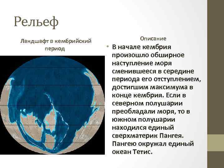 Рельеф Ландшафт в кембрийский период Описание • В начале кембрия произошло обширное наступление моря