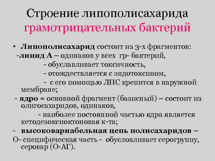 Строение липополисахарида грамотрицательных бактерий • Липополисахарид состоит из 3 -х фрагментов: -липид А –