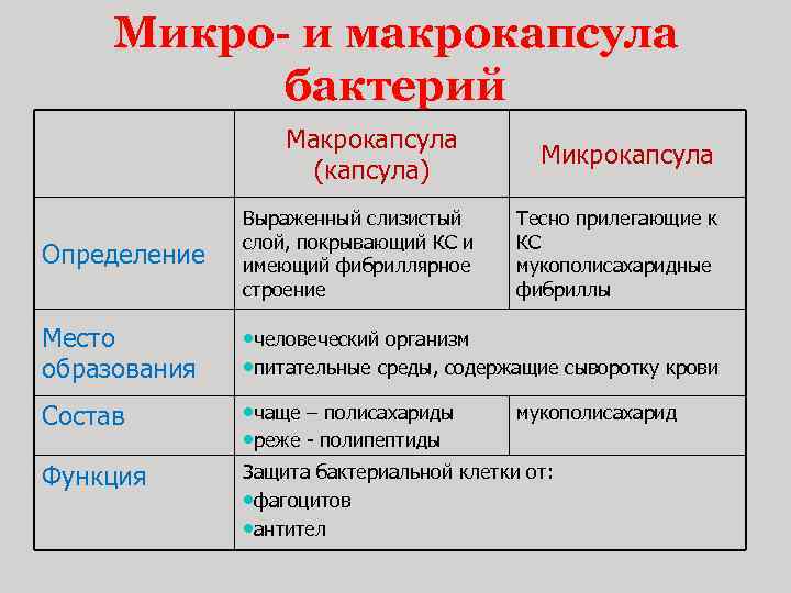 Микро- и макрокапсула бактерий Макрокапсула (капсула) Микрокапсула Определение Выраженный слизистый слой, покрывающий КС и