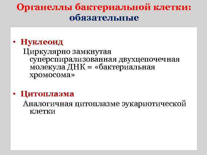Органеллы бактериальной клетки: обязательные • Нуклеоид Циркулярно замкнутая суперспирализованная двухцепочечная молекула ДНК = «бактериальная