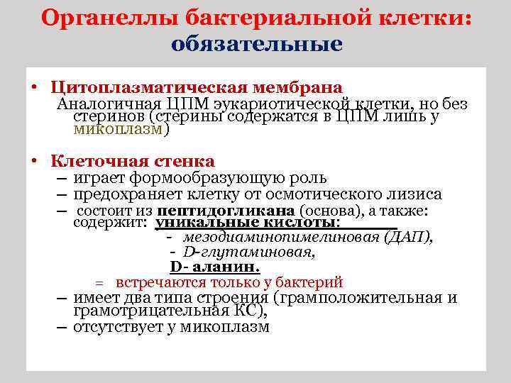 Органеллы бактериальной клетки: обязательные • Цитоплазматическая мембрана Аналогичная ЦПМ эукариотической клетки, но без стеринов