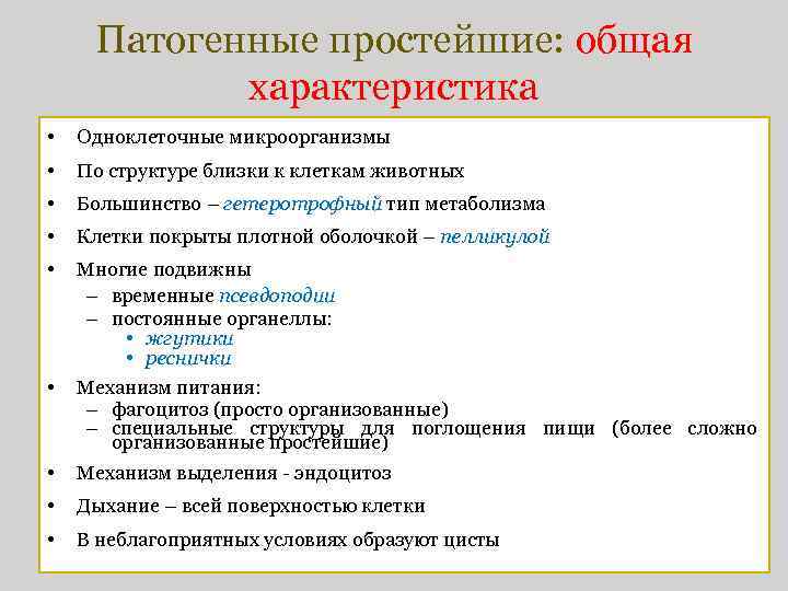 Патогенные простейшие: общая характеристика • Одноклеточные микроорганизмы • По структуре близки к клеткам животных