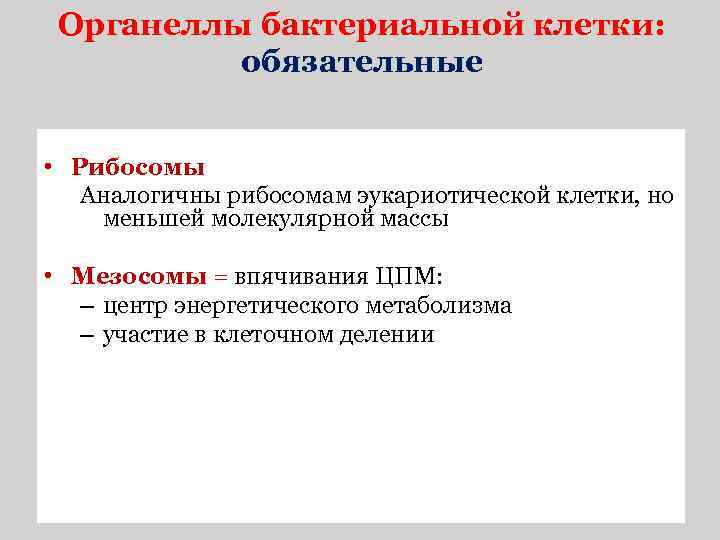 Органеллы бактериальной клетки: обязательные • Рибосомы Аналогичны рибосомам эукариотической клетки, но меньшей молекулярной массы