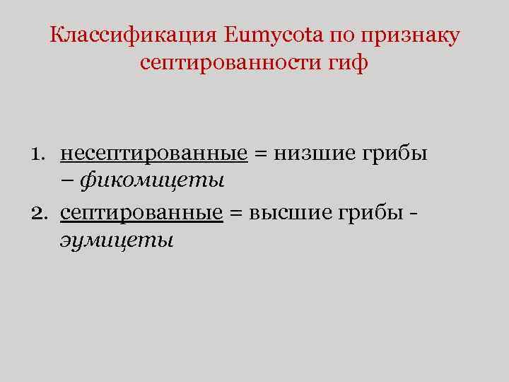 Классификация Eumycota по признаку септированности гиф 1. несептированные = низшие грибы – фикомицеты 2.