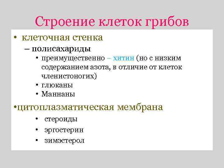 Строение клеток грибов • клеточная стенка – полисахариды • преимущественно – хитин (но с