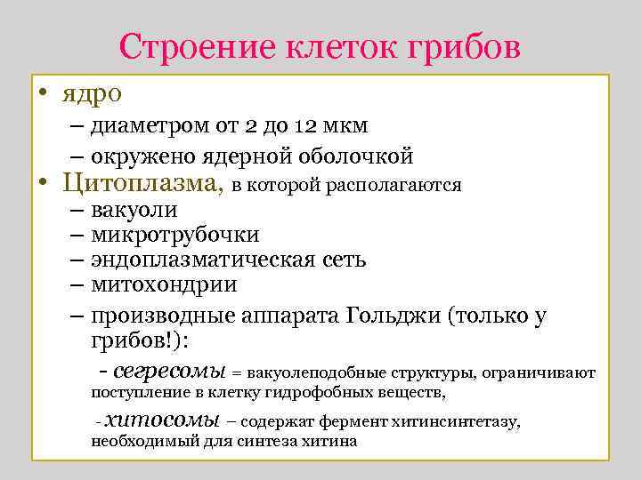 Строение клеток грибов • ядро – диаметром от 2 до 12 мкм – окружено