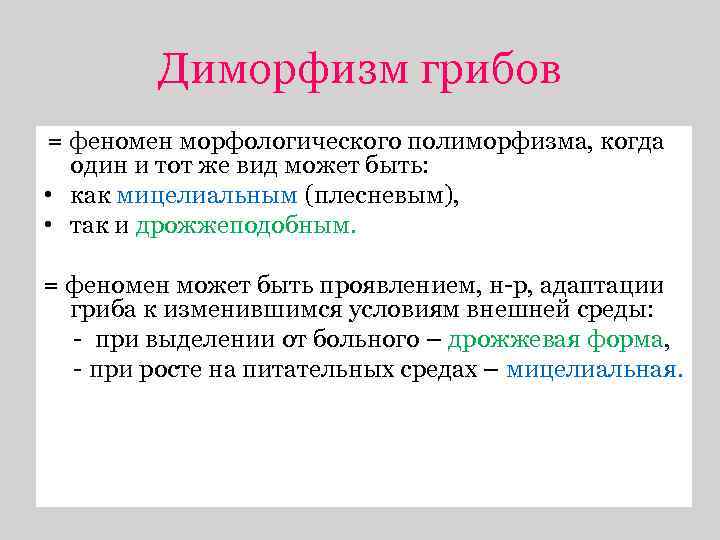 Диморфизм грибов = феномен морфологического полиморфизма, когда один и тот же вид может быть: