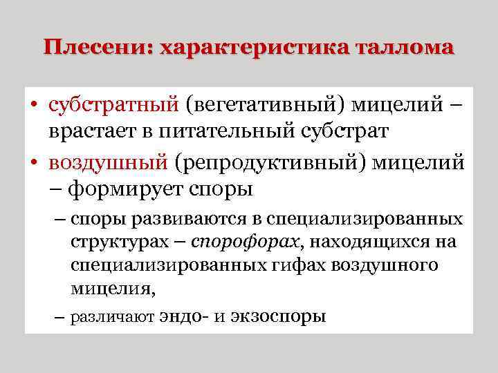 Плесени: характеристика таллома • субстратный (вегетативный) мицелий – врастает в питательный субстрат • воздушный