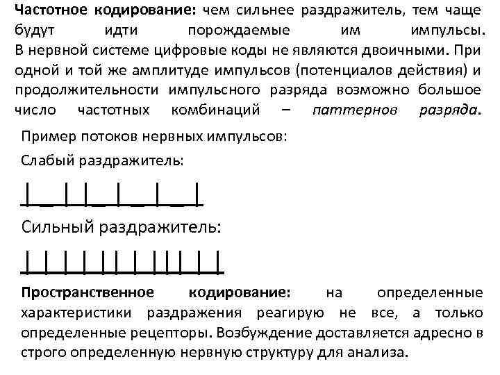 Частотное кодирование: чем сильнее раздражитель, тем чаще будут идти порождаемые им импульсы. В нервной