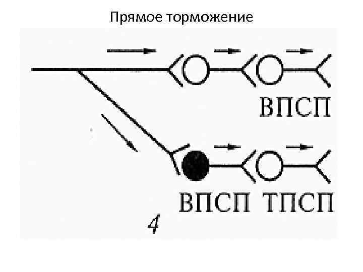 Прямое торможение 