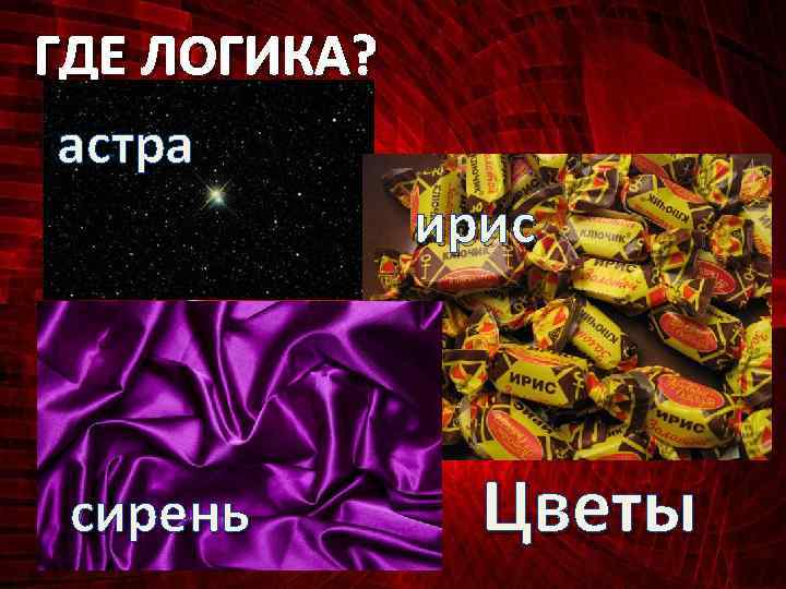 ГДЕ ЛОГИКА? астра ирис сирень Цветы 