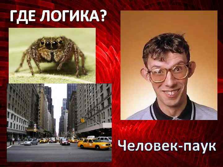 ГДЕ ЛОГИКА? Человек-паук 