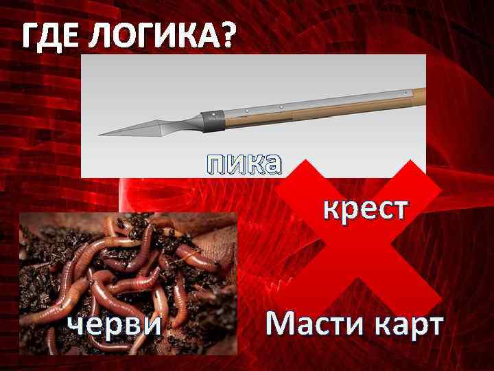 ГДЕ ЛОГИКА? пика черви крест Масти карт 