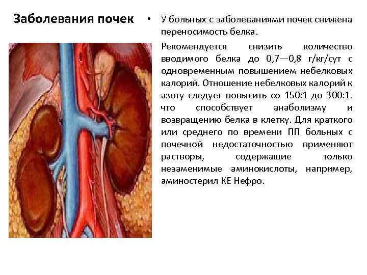 Заболевания почек 8 класс презентация