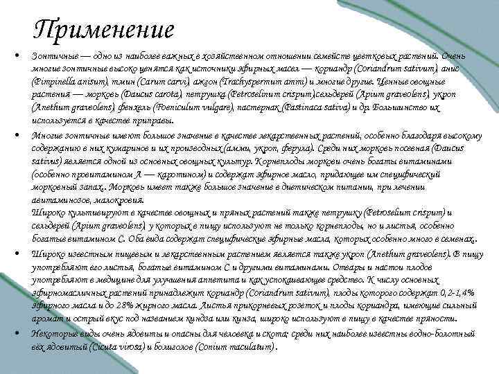 Применение • • Зонтичные — одно из наиболее важных в хозяйственном отношении семейств цветковых