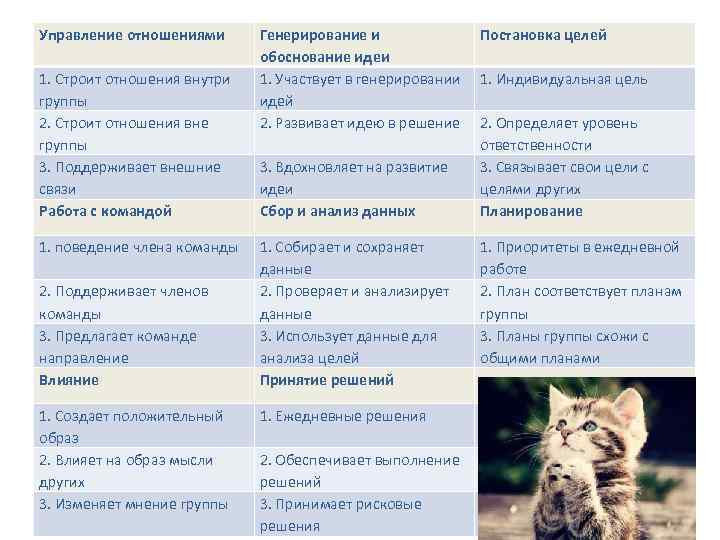 Управление отношениями 1. Строит отношения внутри группы 2. Строит отношения вне группы 3. Поддерживает