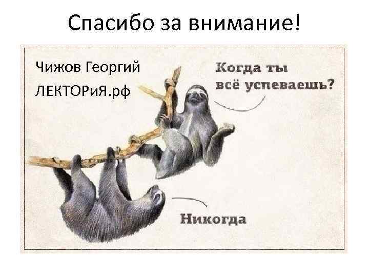 Спасибо за внимание! Чижов Георгий ЛЕКТОРи. Я. рф 