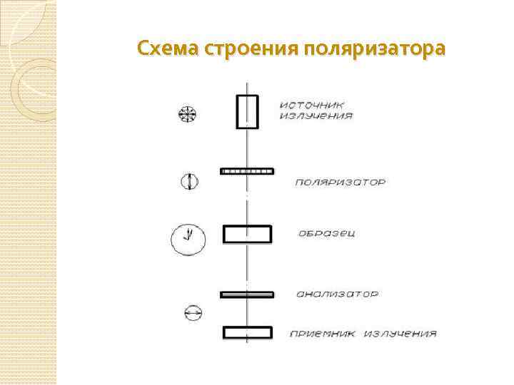 Схема строения поляризатора 