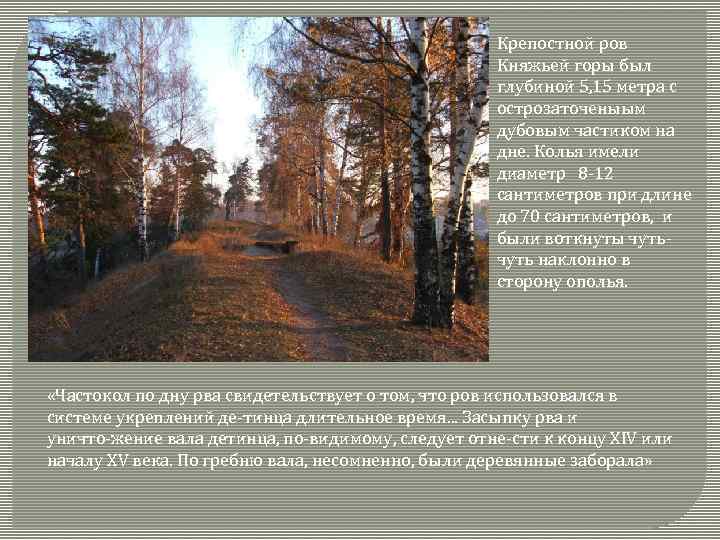 Крепостной ров Княжьей горы был глубиной 5, 15 метра с острозаточеныым дубовым частиком на