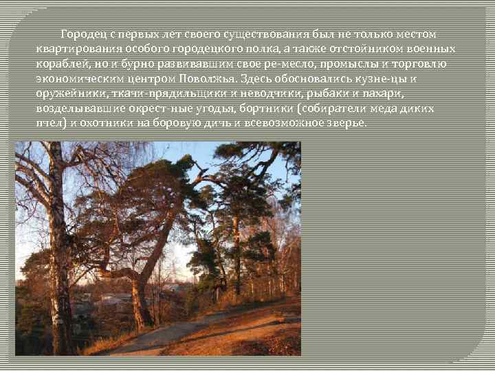  Городец с первых лет своего существования был не только местом квартирования особого городецкого