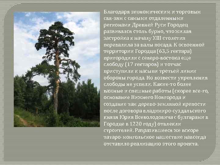 Благодаря экономическим и торговым свя зям с самыми отдаленными регионами Древней Руси Городец развивался