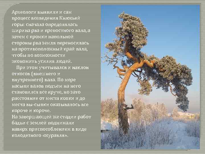 Археологи выявили и сам процесс возведения Княжьей горы: сначала определялась ширина рва и крепостного