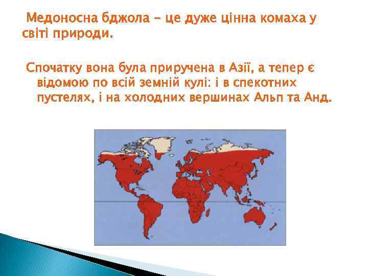  Медоносна бджола - це дуже цінна комаха у світі природи. Спочатку вона була