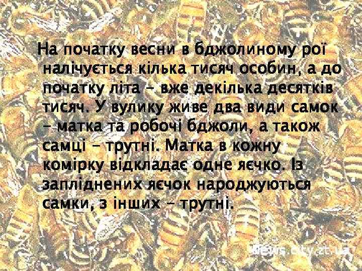  На початку весни в бджолиному рої налічується кілька тисяч особин, а до початку