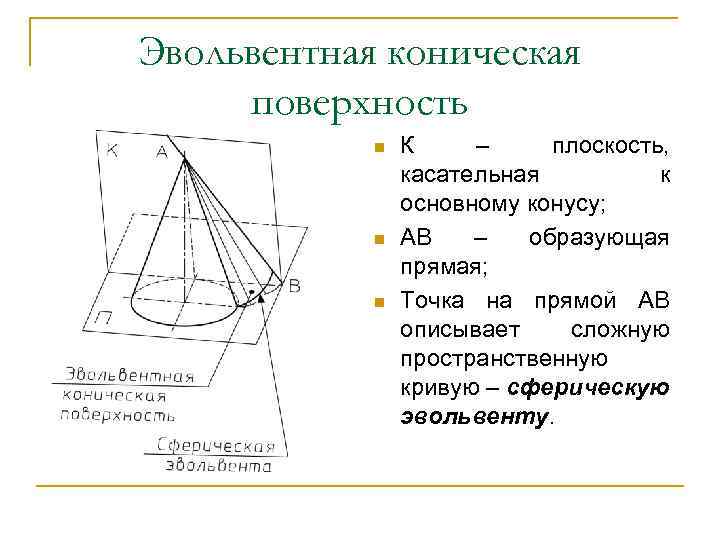 Эвольвентная коническая поверхность n n n К – плоскость, касательная к основному конусу; АВ