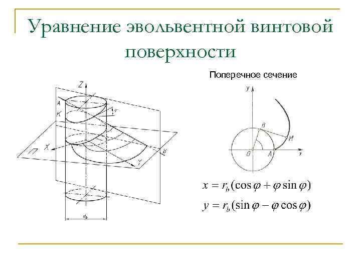 Уравнение эвольвентной винтовой поверхности Поперечное сечение 