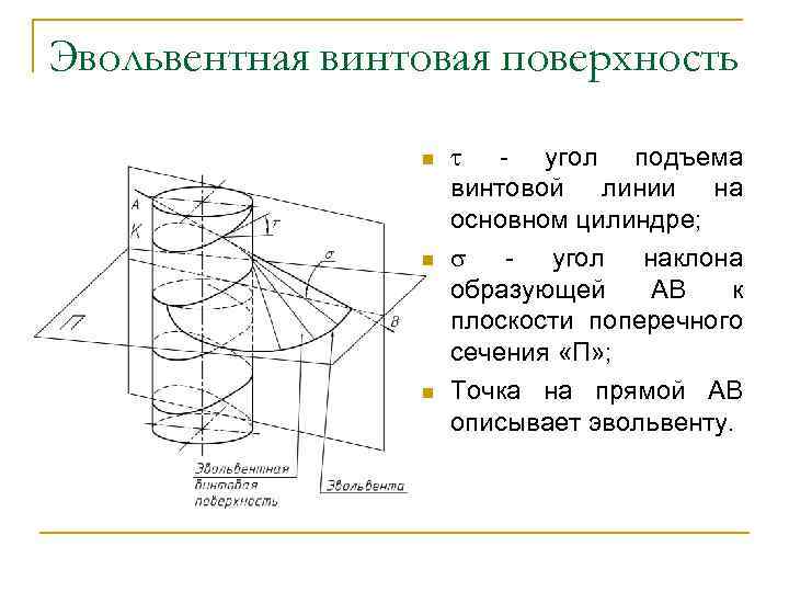 Эвольвентная винтовая поверхность n n n - угол подъема винтовой линии на основном цилиндре;