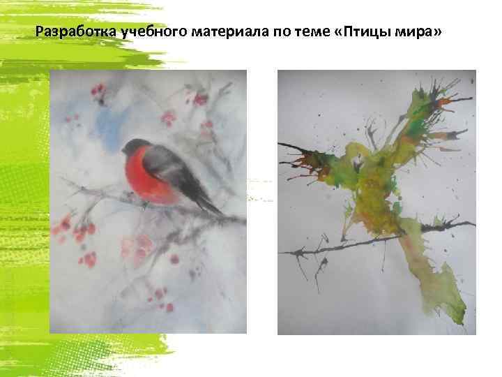 Разработка учебного материала по теме «Птицы мира» 