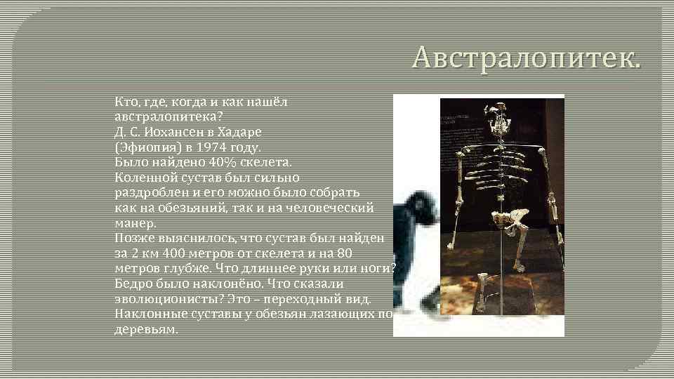 Австралопитек. Кто, где, когда и как нашёл австралопитека? Д. С. Иохансен в Хадаре (Эфиопия)