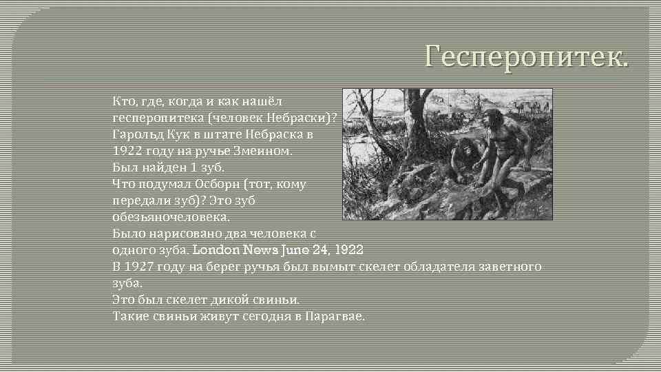 Гесперопитек. Кто, где, когда и как нашёл гесперопитека (человек Небраски)? Гарольд Кук в штате