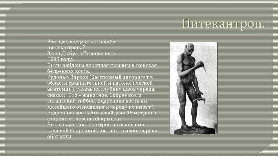 Питекантроп. Кто, где, когда и как нашёл питекантропа? Эжен Дюбуа в Индонезии в 1893