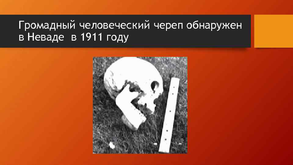 Громадный человеческий череп обнаружен в Неваде в 1911 году 