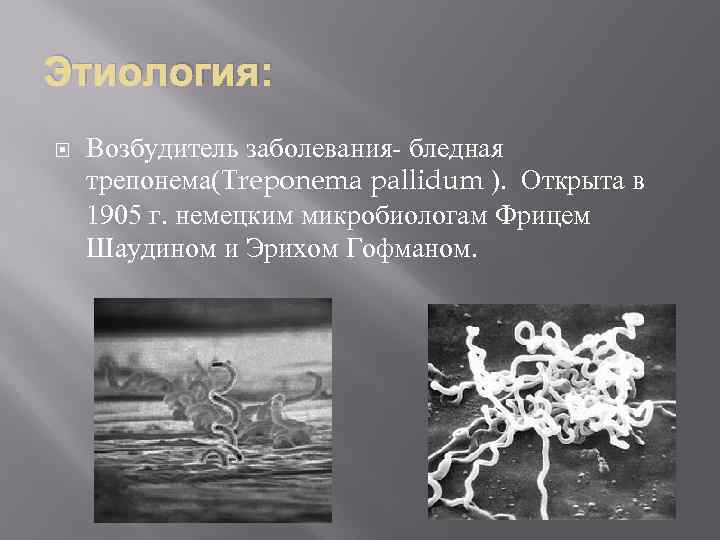 Этиология: Возбудитель заболевания- бледная трепонема(Treponema pallidum ). Открыта в 1905 г. немецким микробиологам Фрицем