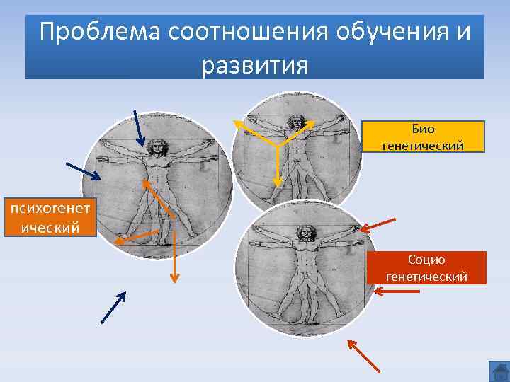 Проблема соотношения обучения и развития Био генетический психогенет ический социогенетичес кий Социо генетический 